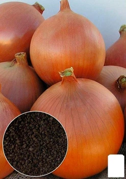 На развес Лук "Одиновец" Agro-Market цена за 5г (49575)