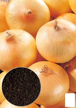 На развес Лук "Буран" Agro-Market цена за 5г (49571)