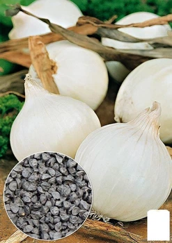 На развес Лук "Репчатый" Agro-Market цена за 3г (13366)