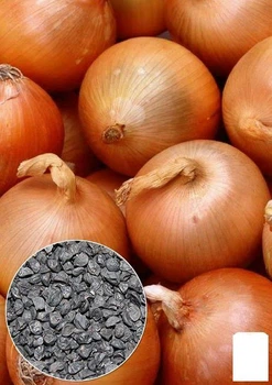 На развес Лук "Кристина" Agro-Market цена за 5г (22100)