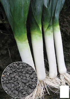 На развес Лук "Батун" Agro-Market цена за 3г (13360)