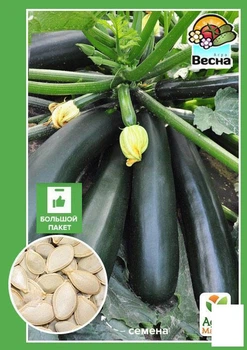 Насіння Кабачок "Чорний красень" (Великий пакет) ТМ "Agro-Market" 5г (32614)