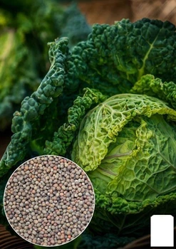 На развес Капуста "Савойская" Agro-Market цена за 2г (32158)