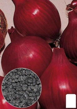 На развес Лук "Кармен" Agro-Market цена за 5г (22107)