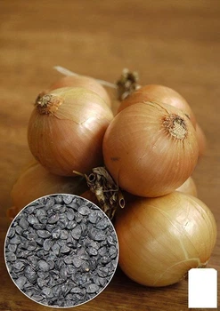 На вагу Лук "Глобус" Agro-Market ціна за 5г (22097)