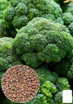 На развес Капуста "Брокколи" Agro-Market цена за 2г (32148)