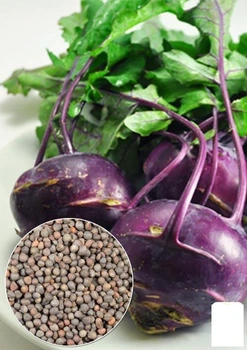 На развес Капуста "Кольраби синяя" Agro-Market цена за 2г (32071)