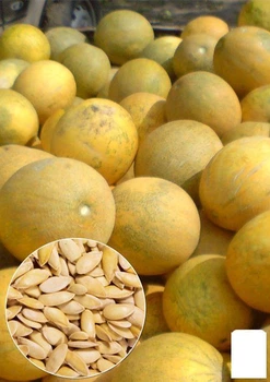 На развес Дыня "Берегиня" Agro-Market цена за 6г (35757)