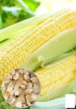 На вагу Кукурудза "Снігова королева" Agro-Market ціна за 40г (22343)