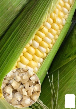 На вагу Кукурудза "Білосніжка" Agro-Market ціна за 40г (22344)