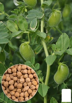 На развес Нут Agro-Market цена за 50г (21984)