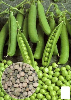 На развес Горох "Сахарный стручок" Agro-Market цена за 50г (22348)