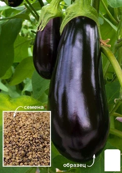 На развес Баклажан "Черный бриллиант" Agro-Market цена за 2г (49458)