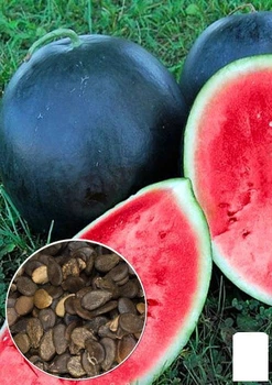 На развес Арбуз "Ультраранний" Agro-Market цена за 5г (49102)