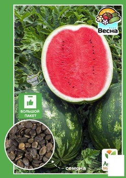 Арбуз "Ау Продюсер" (Большой пакет) Agro-Market 3г (32564)