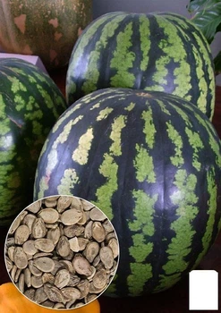 На вагу Кавун "Ярило" Agro-Market ціна за 10г (22355)