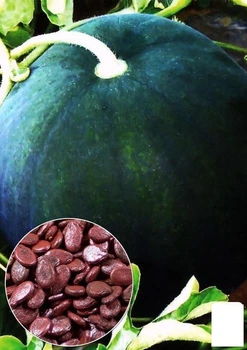 На развес Арбуз обработанный "Огонек" Agro-Market цена за 5г (24092)