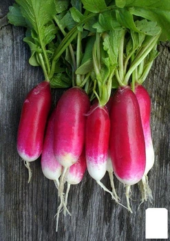 Редис "18 дней" (в банке) Agro-Market 20г (45009)