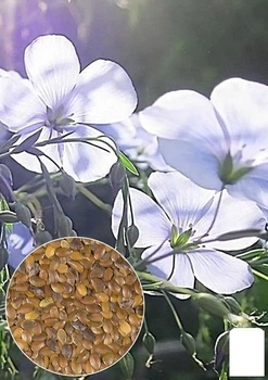 На развес Лен белый Agro-Market цена за 3г (33093)