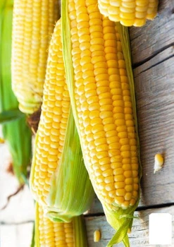 Кукурудза "Солодке дитинство" (у банку) Agro-Market 100г (52431)
