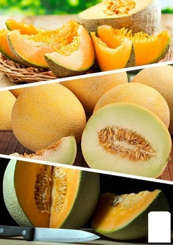 На развес Дыня "Смесь лучших популярных сортов" Agro-Market цена за 5 г (45531)