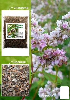 Гречиха посевная ТМ "Весна" 1кг (38191)