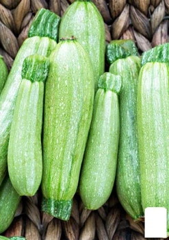 Кабачок "Кустовий ранній" (у банку) Agro-Market 20г (105635)