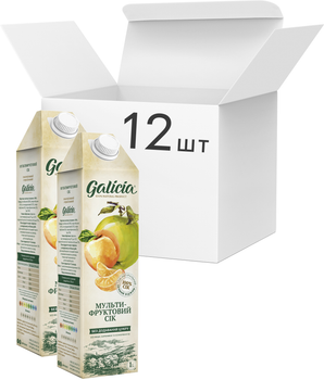 Упаковка соку Galicia Мультифруктового з м'якоттю 1 л х 12 шт. (4820209563481)