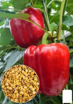 На развес Перец "Калифорнийское чудо" Agro-Market цена за 1г (13346)