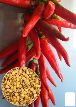 На развес Перец острый "Тещин язык" Agro-Market цена за 2г (22007)