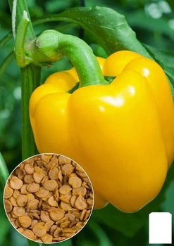 На развес Перец "Золотое чудо" Agro-Market цена за 1г (22302)