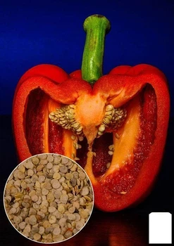 На развес Перец "Ратунда" Agro-Market цена за 1г (32179)