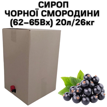 Сироп Eva Чорної Смородини 62-65Вх BAG IN BOX 20л/26кг