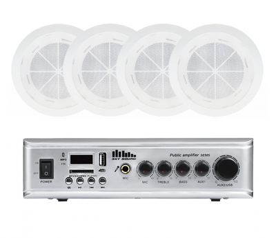 Акустический комплект SKY SOUND CSE-2504 (9867144)
