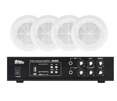 Акустический комплект SKY SOUND CSB-2504 (2821360)