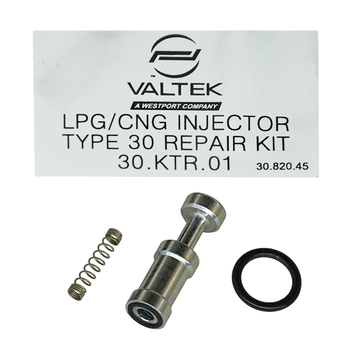 Ремкомплект форсунки Valtek (VK30.KTR.01) 1 шт