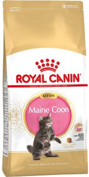 Sucha karma dla kotów Royal Canin FBN Maine Coon Kitten 10 kg (AMABEZKAR1133)