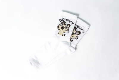 Носки Rock'n'socks Кот. Пофигу One size (37-43)