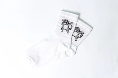 Носки Rock'n'socks Дэб. Кот One size (37-43)