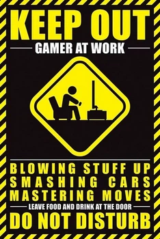 Плакат Gamer At Work (Постер) (5050574343510)