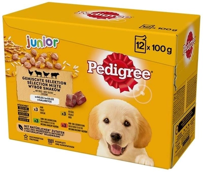 Mokre jedzenie Pedigree junior saszetka karma w galarecie dla psa z smakiem kurczaka 12X100g (5900951270550)