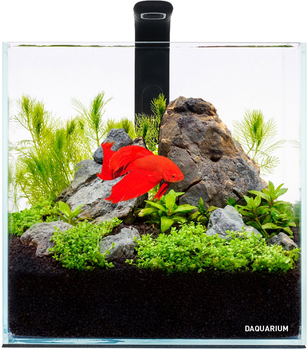 Акваріумний набір DAQUARIUM Pico Set 170 мм 5 л (7141)