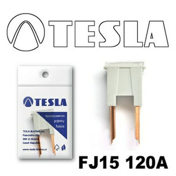 Запобіжник TESLA FJ14 ''CARTRIDGE'' 120A (TS FJ14 120A)