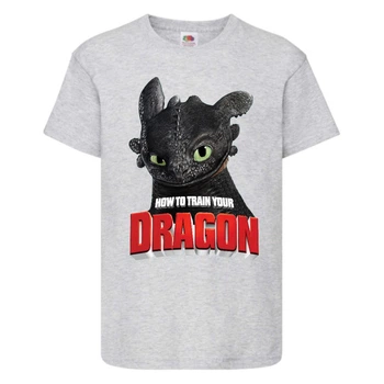 Футболка детская Как приручить дракона (DRAGONS) серая (dragon-05-gray) 152 см