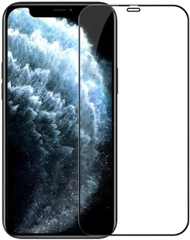 Szkło hartowane Nilkin CP+PRO 0.33mm do Apple iPhone 12 Mini Black (NN-CPAGS-25D-IP12Mi/BK)