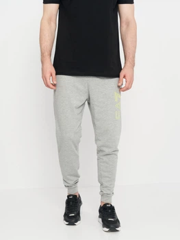Спортивні штани чоловічі Emporio Armani 10784.21 2XL Сірі