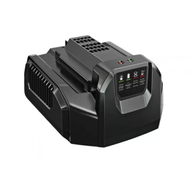 Зарядное устройство EGO CH2100E (500014002)