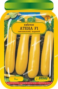 Семена Яскрава Кабачок Атена F1 5 шт (35157)