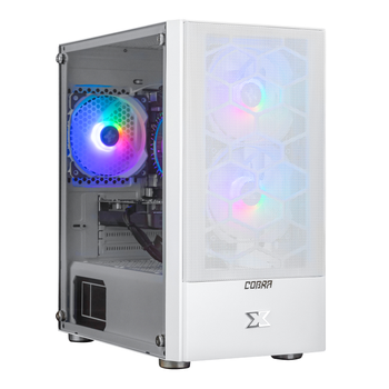 Персональный компьютер COBRA Advanced (I11F.8.H1S9.165S.A4434)