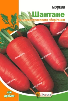 Семена Яскрава Морковь Шантане 20 г (441)